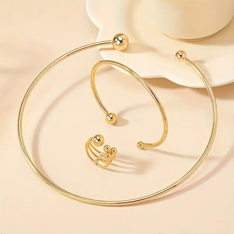 Chique roestvrijstalen set